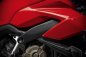 Preview: Ducati Rahmencover aus Kohlefaser