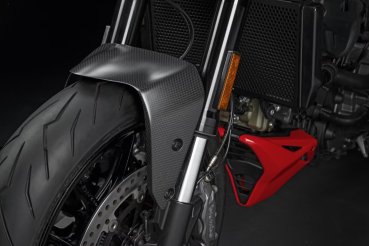 Ducati Kotflügel vorne aus Carbon