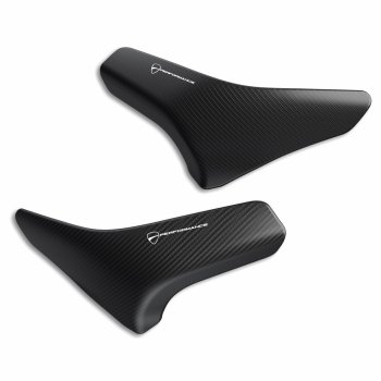 Ducati Panigale V4 Tankschutz Kohlefaser